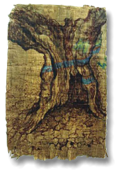 Pata de olivo, 2002, inkt op papyrus, 34,5 x 22 cm