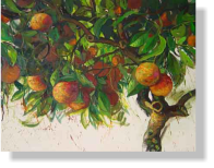 Naranjo a contraluz, 2007, leo sobre lienzo, 77 x 97 cm