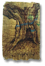 “Pata de olivo”, 2002, tinta sobre papiro, 34,5 x 22 cm