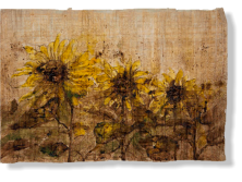 “Girasoles”, 2012, inkt op papyrus, 40 x 61 cm