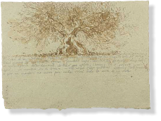 "De boom van de berg", 2009, mixed media on paper, 19 x 26 cm