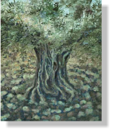 "Olivo en plata", 2009, óleo sobre lienzo, 60 x 50 cm