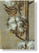 "Algodón", 2009, óleo sobre lienzo, 18 x 14 cm
